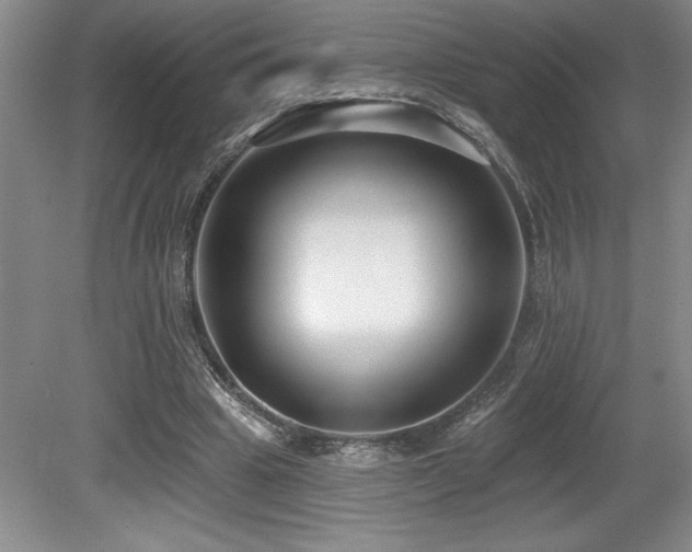 X0000079290441200611171055