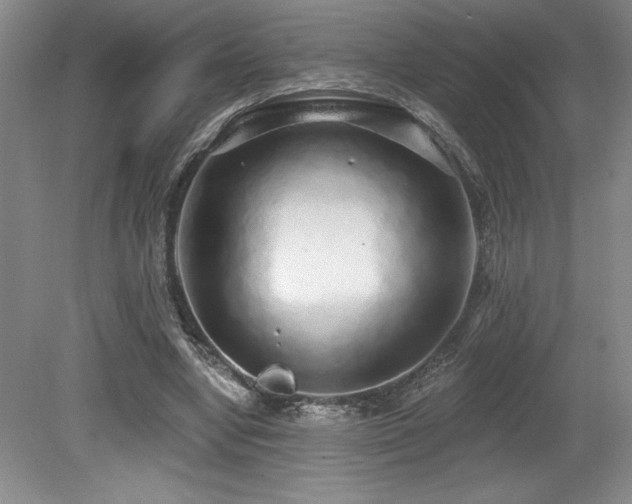 X0000079290442200611171055