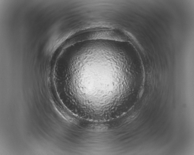 X0000079290443200611171055