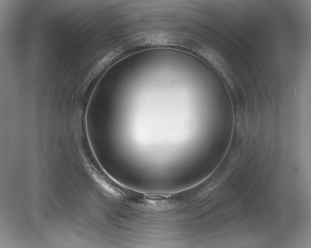 X0000079290445200611171055