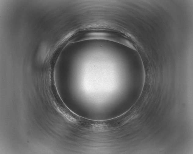 X0000079290446200611171055