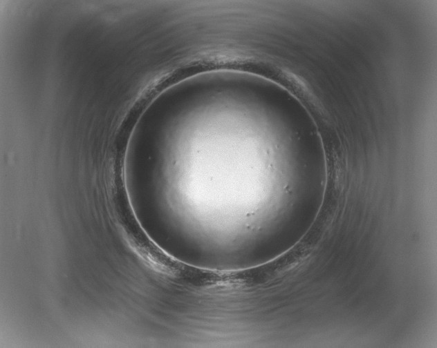 X0000079290447200611171055