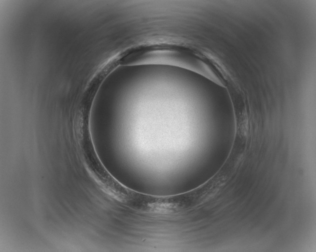 X0000079290448200611171055