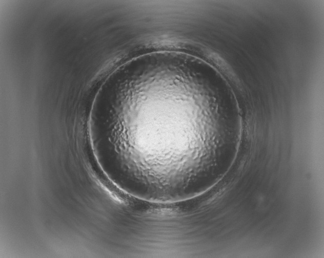 X0000079290449200611171055