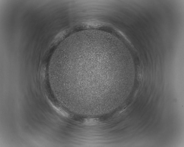 X0000079290451200611171055