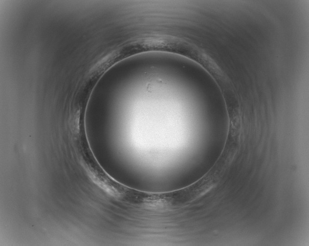 X0000079290454200611171055