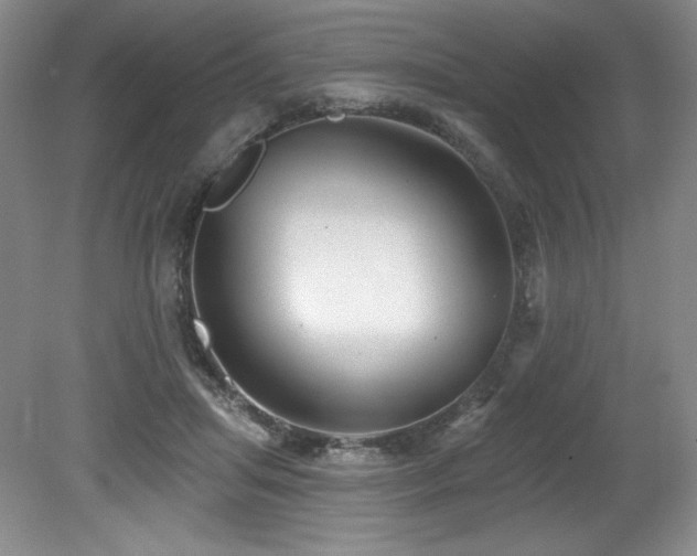 X0000079290455200611171055