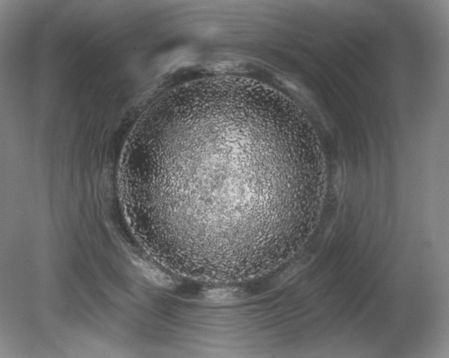 X0000079290461200611171056