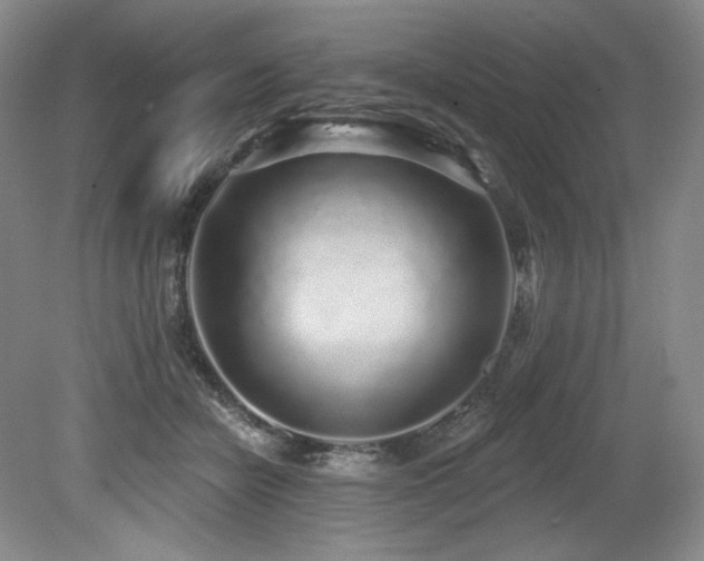 X0000079290462200611171056