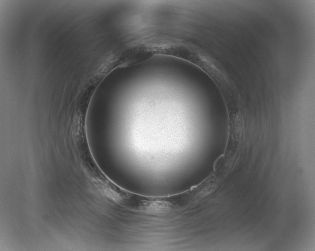 X0000079290463200611171056