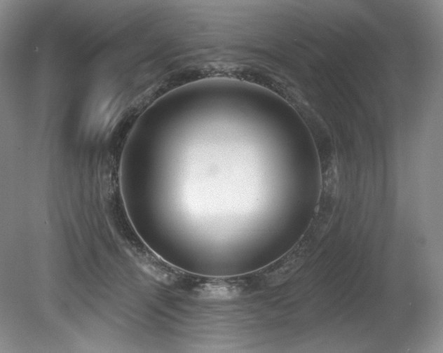 X0000079290464200611171056