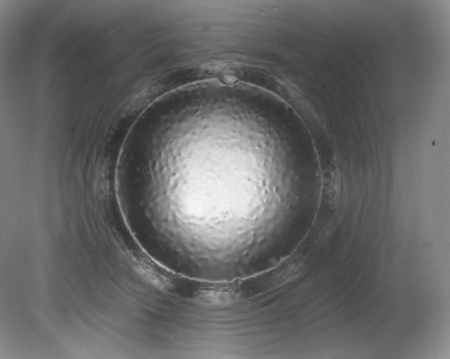 X0000079290466200611171056