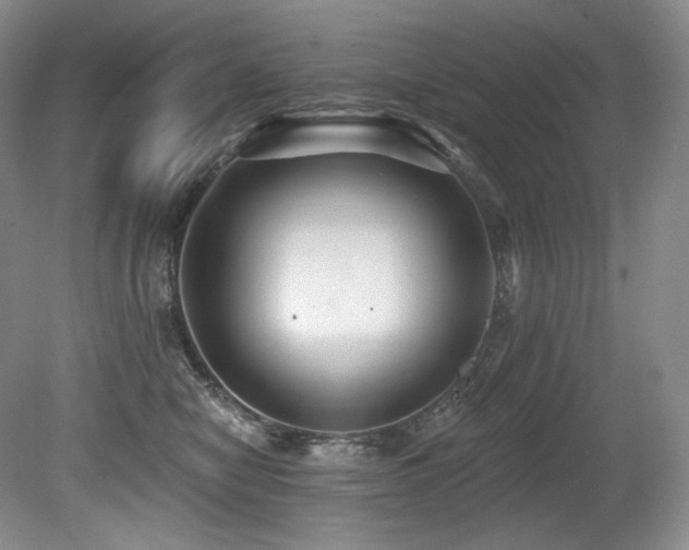 X0000079290470200611171056