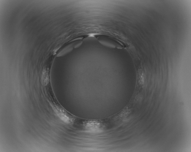 X0000079290471200611171056