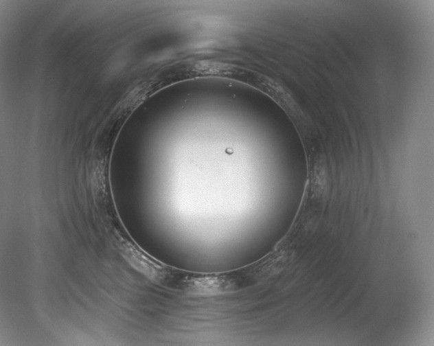 X0000079290473200611171056