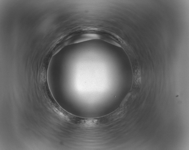 X0000079290474200611171056