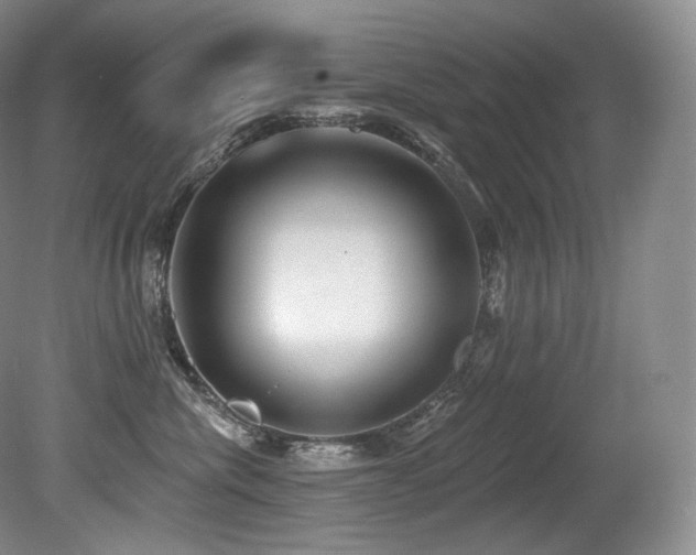 X0000079290476200611171056