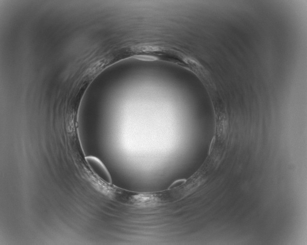 X0000079290477200611171056