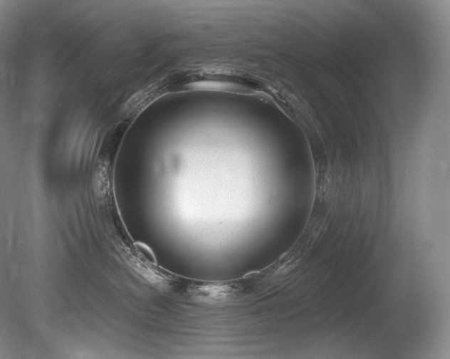 X0000079290478200611171056