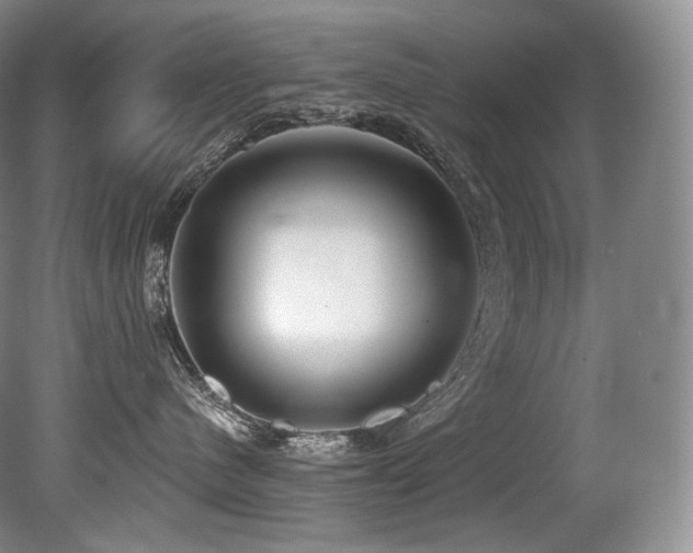 X0000079290480200611171056