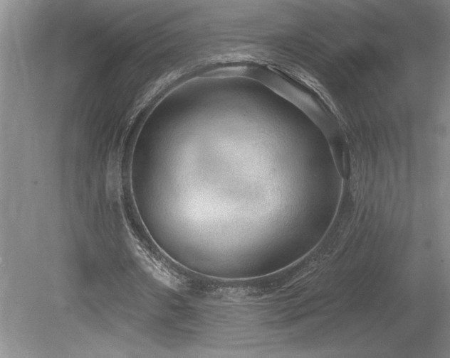 X0000079290482200611171055