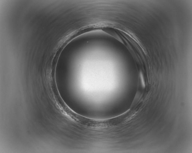 X0000079290485200611171055