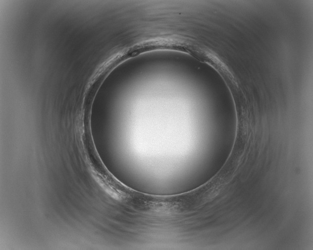 X0000079290486200611171055