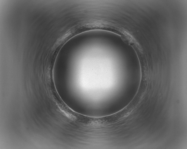 X0000079290489200611171055