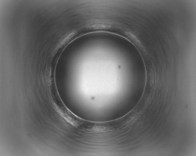 X0000079290490200611171055