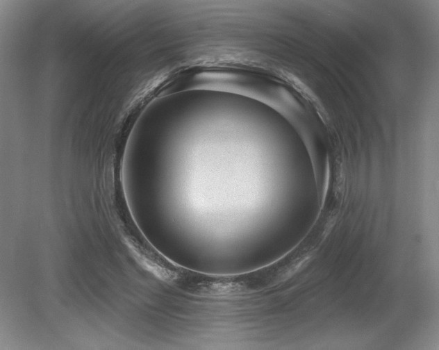 X0000079290493200611171055