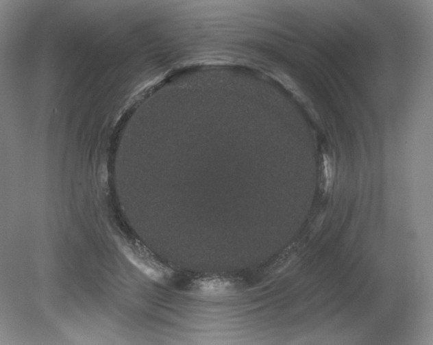 X0000079290500200611171055