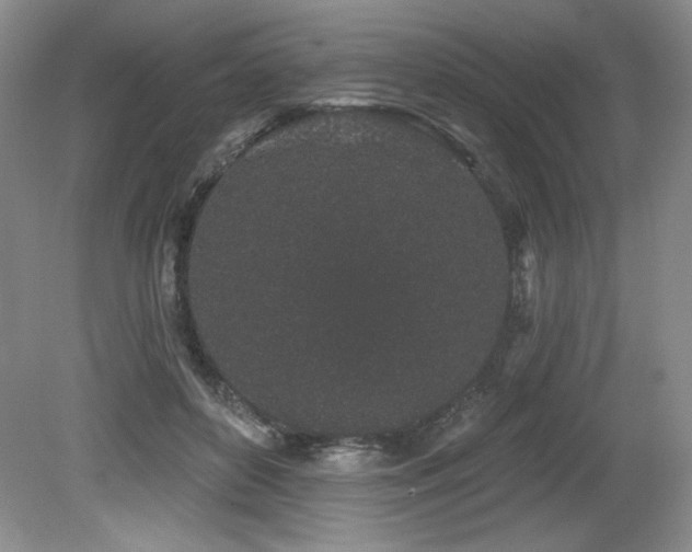 X0000079290504200611171055