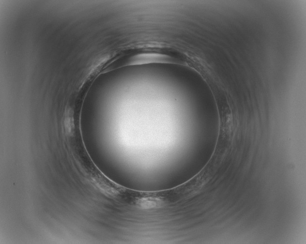 X0000079290508200611171055