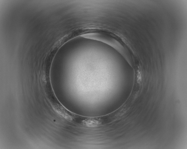 X0000079290512200611171055