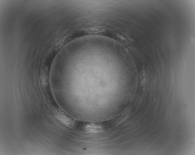 X0000079290515200611171055