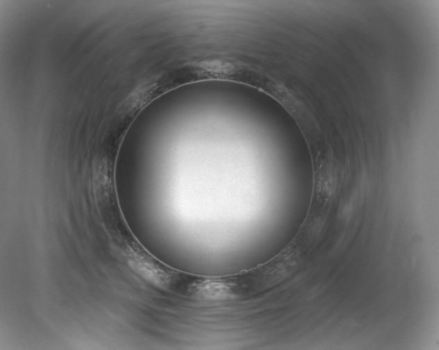 X0000079290518200611171054