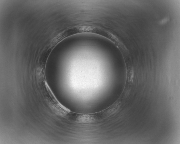 X0000079290521200611171054