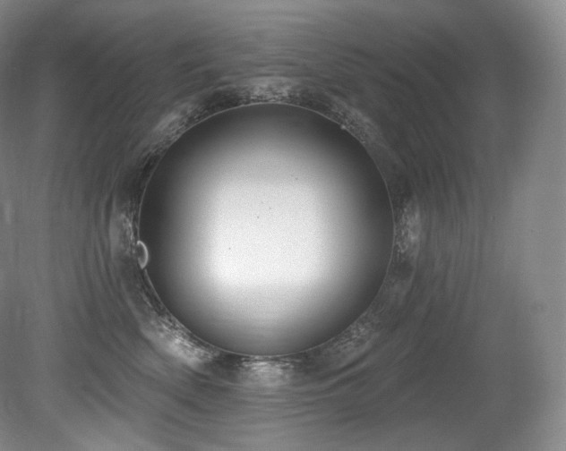 X0000079290522200611171054