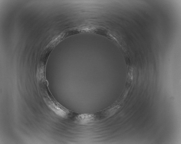 X0000079290526200611171054