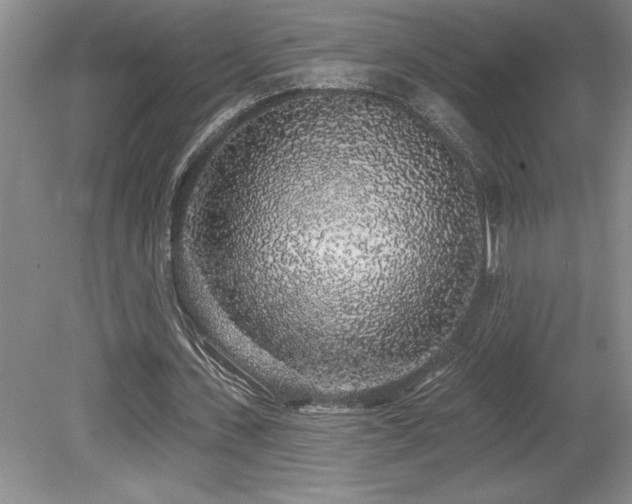 X0000079290531200611171054