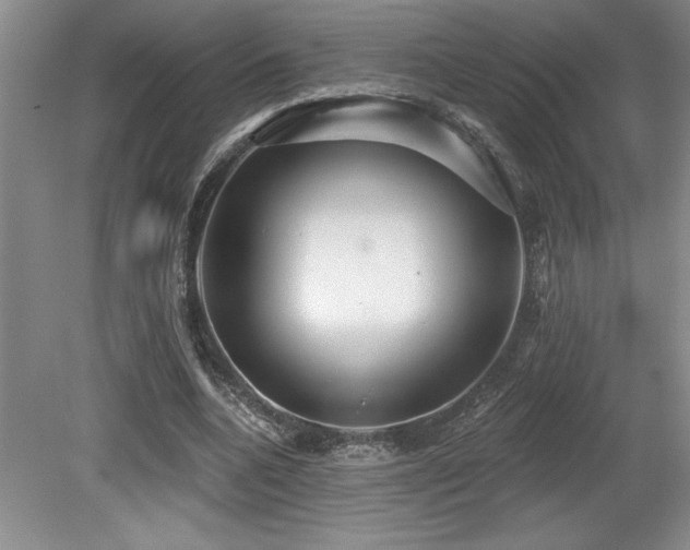 X0000079290536200611171054