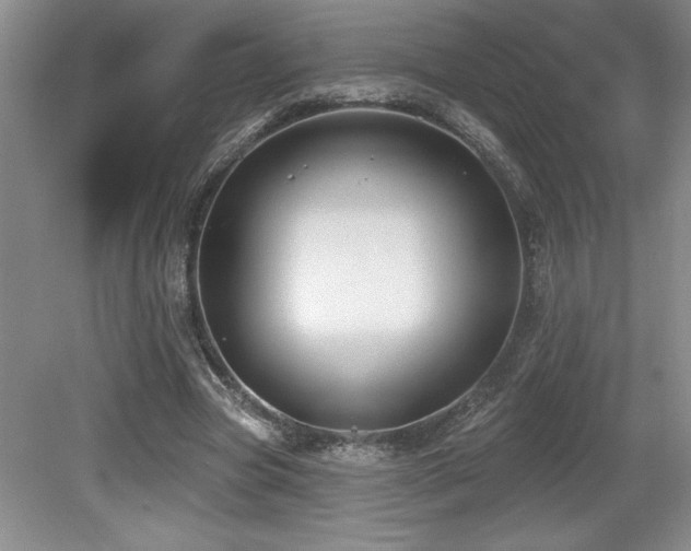 X0000079290537200611171054