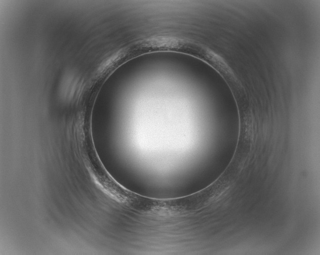 X0000079290538200611171054