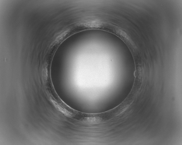 X0000079290541200611171054
