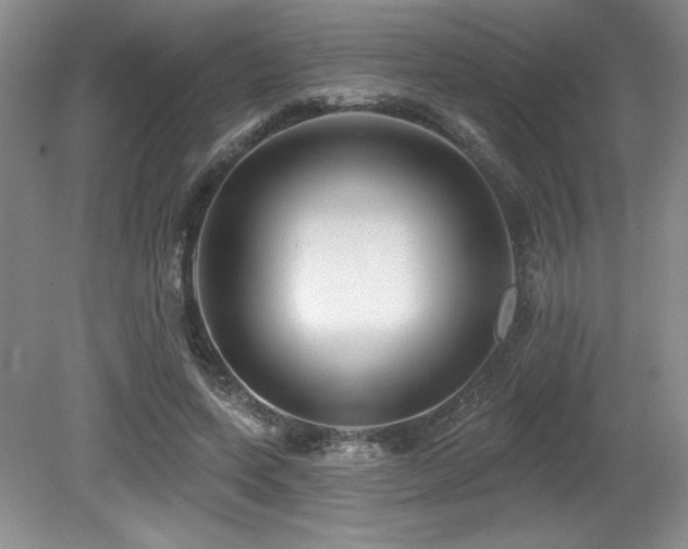 X0000079290543200611171054