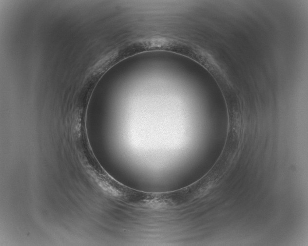 X0000079290545200611171054