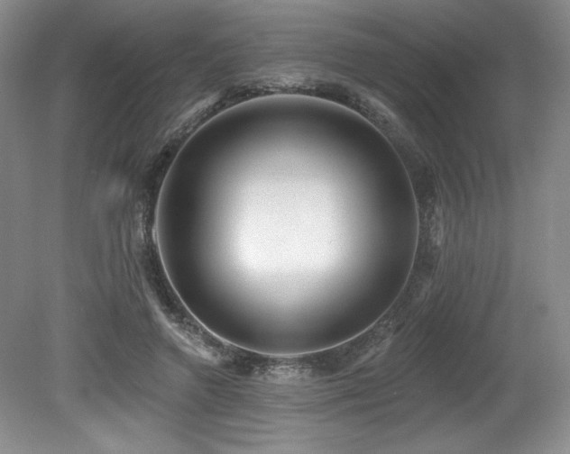 X0000079290546200611171054