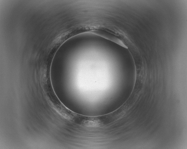 X0000079290548200611171054