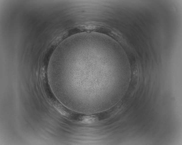 X0000079290555200611171054