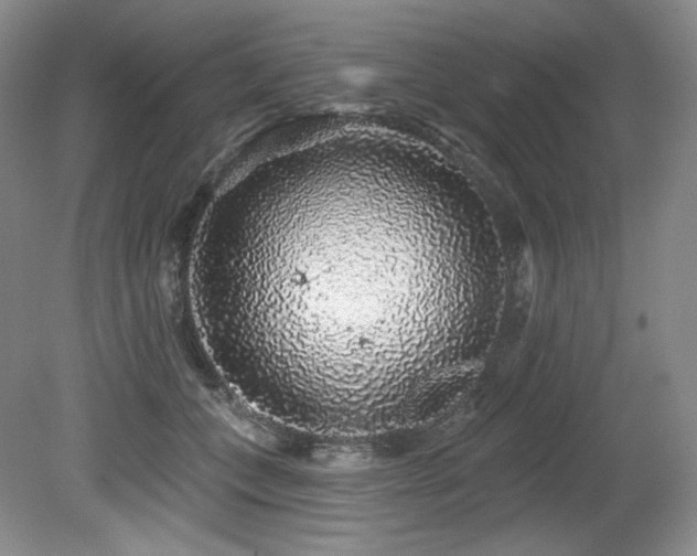 X0000079290559200611171054